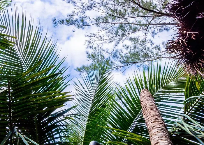 Hotel Oostel Smart - Playa Tulum